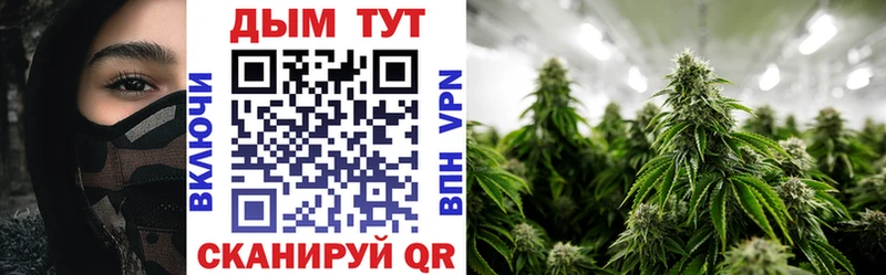Шишки марихуана Amnesia  наркота  Галич 